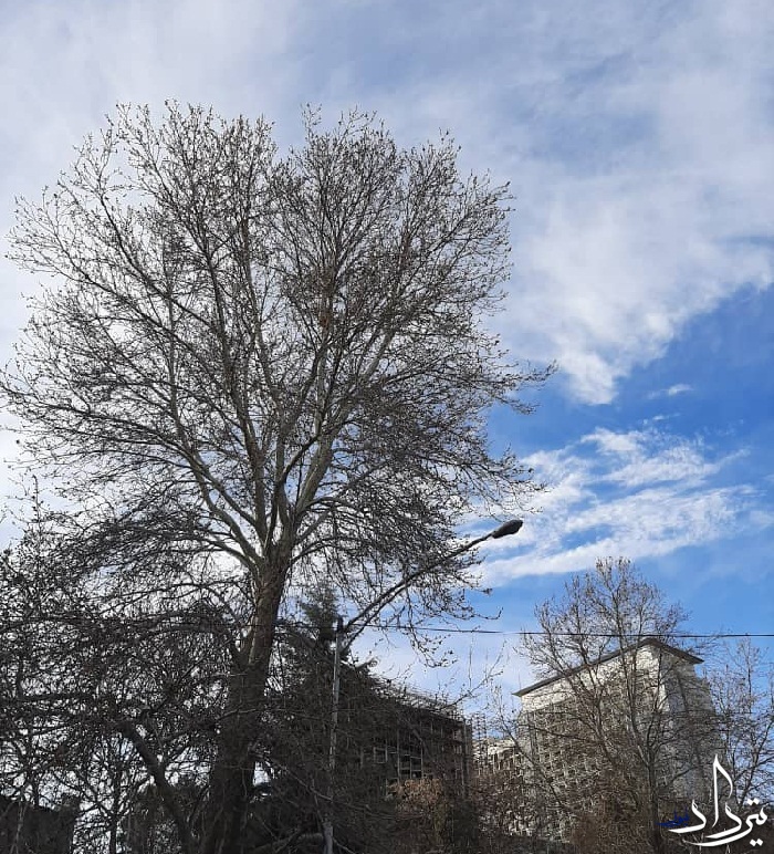 آسمان زیبای تهران