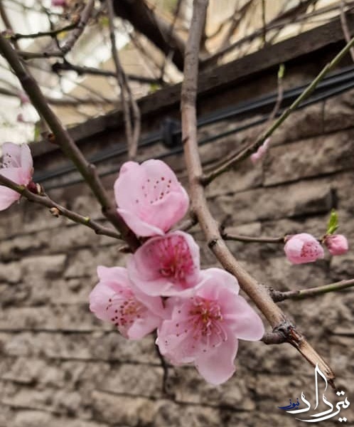 آسمان تهران در تعطیلات نوروزی آسمان تهران در تعطیلات نوروزی