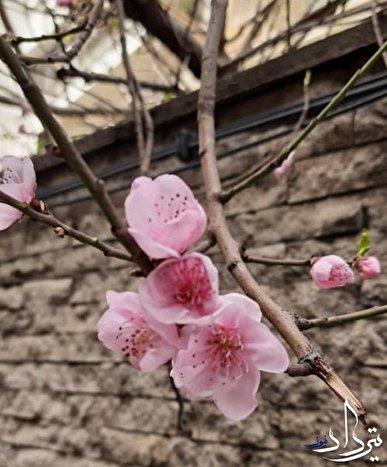 آسمان تهران در تعطیلات نوروزی 1401