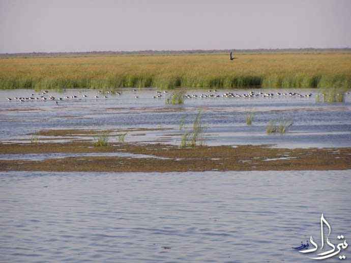 تالاب کانی برازان تالاب کانی برازان بهشت پرندگان