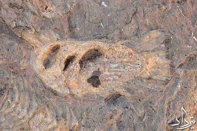 روستای مصر موقعیت گردشگری روستای مصر